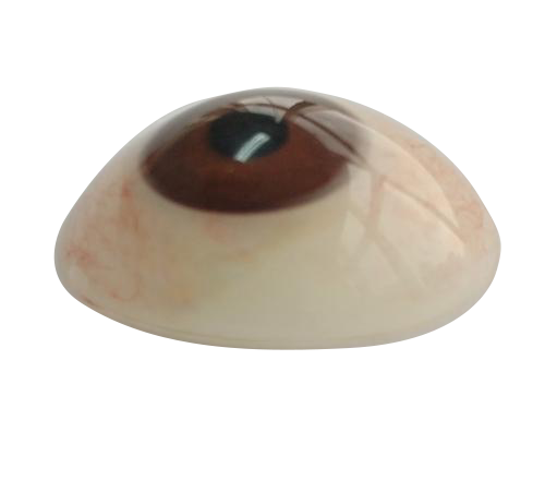 呼和浩特微雕义眼定制